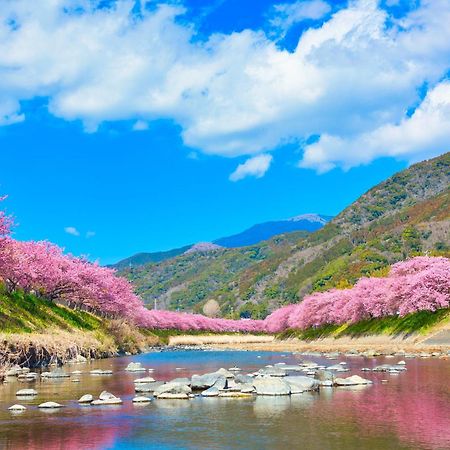 Ramjet Kisami Beach House Shimoda - Enjoy Sakura, Beach And Bbq! Exteriör bild