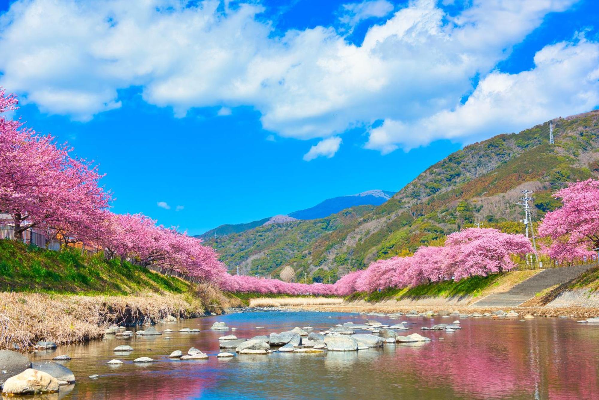 Ramjet Kisami Beach House Shimoda - Enjoy Sakura, Beach And Bbq! Exteriör bild